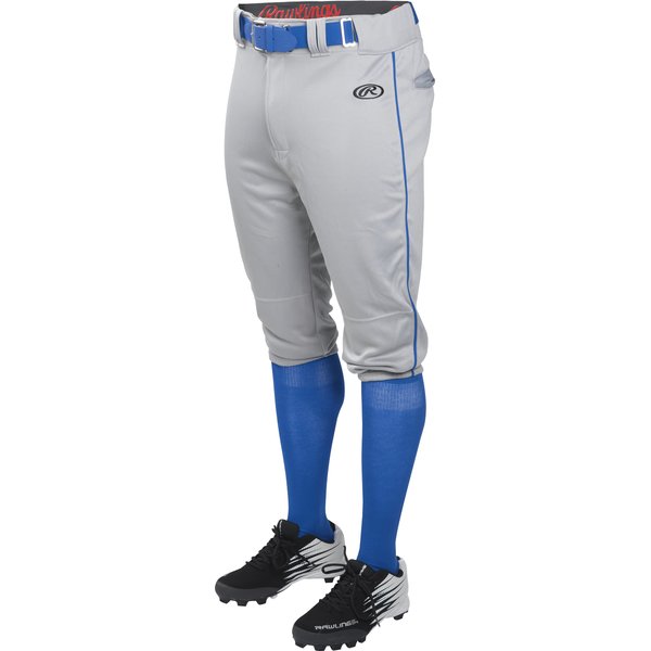Rawlings | LAUNCH SERIES Knicker Baseball Pants | Adult Small | Grey/Royal