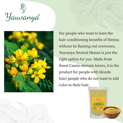 Yauvanya 100% pure Neutral Henna (Cassia Obovata) Powder for Blonde/Golden hair | Colorless Henna | Natural Hair Conditioner | For Soft, Silky, Shiny hair - 3x100gms