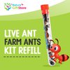 Live Ant Farm Ants Kit Refill - 25 Red Harvester Ants for Ant Farms - Educational Insect Exploration Set Shipped with Order - Guaranteed Live Arrival - Science Project Supplies for Kids & Adults