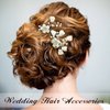 Sooshin 2 Pieces Porcelain Flower Bridal Hair pins Pearl Wedding Hair Accessories for Brides and Bridemaids Rhinestone Bridal Headpieces for wedding Crystal Hair Pins for Women and Girls (Silver-C)