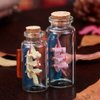 Danmu 30ml 1.18" x 2.75" Mini/ Tiny Glass Jars with Wood Cork Stoppers, Wishing/ Message Bottle for Halloween Decorations, Wedding/ Baby Shower Favors(12Pcs)