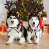 URATOT 2 Pack Dog Cat Light Up Christmas Reindeer Headbands LED Deer Headwear Party Hats for Pets Christmas Party Favors