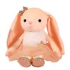 Ruzucoda Ballerina Dolls Plush Bunny Rabbit Soft Toys Ballet Dance Recital Gifts for Girls 15.5 Inches