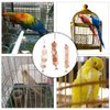 NingMengXYRHZB Parrot Chewing Toy Natural Bird Cage Ornament Durable Bird Chewing Stick for Parrot Parakeets, Cockatiels, Conures, Finches, Budgie, Macaws, Parrots, Love Birds(Random Color)