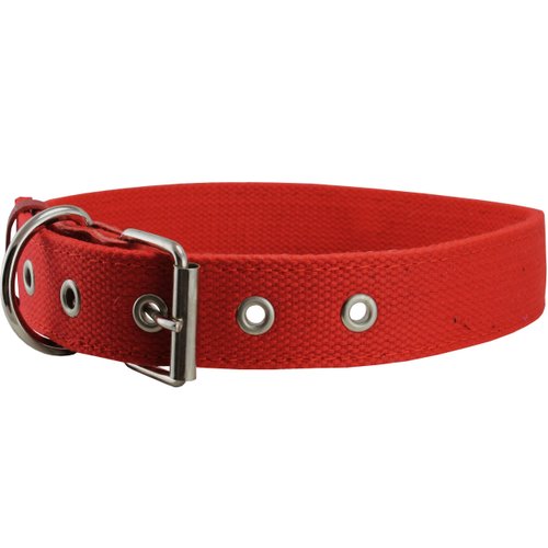 Cotton Web Dog Collar 3/4" Wide. Fits 13"-17" Neck. Border Terrier, Boston Terrier, Spaniel