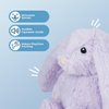 Best Pet Supplies Interactive Bunny Buddy Dog Toy with Crinkle and Squeaky Enrichment for Small and Medium Breed Puppies or Dogs, Cute and Plush - Bunny (Purple), Small
