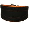 Real Leather Extra Wide Padded Tapered Dog Collar Glossy Black Greyhound Saluki Deerhound Lurcher Whippet Dachshund (11"-13" Neck; 2" Wide, Toffee)