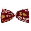 EmilyRose Couture Sports Themes Hair Bow Collection (Barrette, Seminoles Glitters)