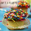 Birthday Snack | Cup Cakes | Snack Cakes | Birthday Cakes | Dairy & Nut Free | 12 Mini Cupcakes Per Pack | 10 oz – Stern’s Bakery (12 Pack)