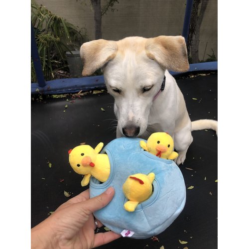 Glow Pups Chicken and Egg Hide and Seek Dog Toy for Small and Medium Size Dogs, Easter Dog Toy, Springtime Toy for Dogs, Fun and Interactive Burrow Dog Toy with Squeaker (Egg and Chicken)