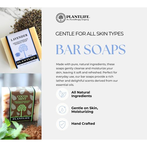 Plantlife Coconut Lime Bar Soap - Moisturizing and Soothing Soap for Your Skin - Hand Crafted Using Plant-Based Ingredients - Made in California 4oz Bar