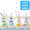 Zatik Naturals - Liquid Hand Soap, Cool Mint Moisturizing Handwash - 12 fl oz (Pack of 1)