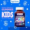 USDA Organic Elderberry Gummies for Kids | Kids Immune Support - Kids Elderberry Gummies with Zinc and Vitamin C - Gluten Free & Vegan Children's Vitamins - 60 Gummies | Sambucus Nigra Supplement