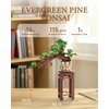 Rolife 3D Wooden Puzzles DIY Bonsai Pine Tree Model, 115pcs Zen Garden Kit Art Craft for Adults & Teens Artificial Plants for Home Office Decor Project Unique Gifts for Men Women