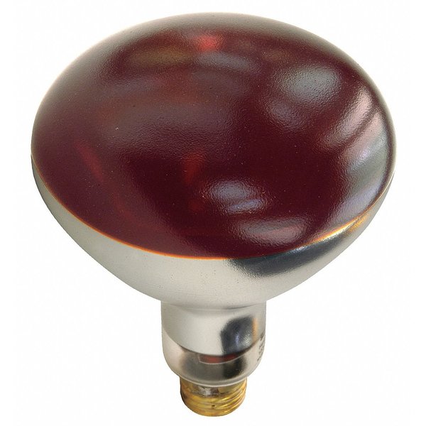 SHAKLAK Shatter-Resistant Red 250W Heat Lamp (1 Each)