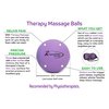 ActiveProZone Therapy Massage Ball - Instant Muscle Pain Relief. Proven Effective for Myofascial Release, Deep Tissue Pressure, Yoga & Trigger Point Treatments. Set - 2 Lacrosse Balls W/Mesh Bag