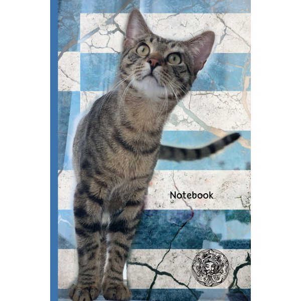 Notebook: Greek Notebook Cute Cat Special Blank Lined Journal