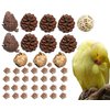 AEspares 41 Pieces Bird Toys Interactive and Durable Play Toys for Pet Birds Parrots Cockatiels Conures Caiques Parakeet Budgies Other Parrots Breeds and Birds Breeds