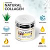 Collagen Cream - Face Moisturizer - Anti Aging Face Cream - Wrinkle Cream for Women and Men with Retinol, Peptides and Hyaluronic Acid - Day and Night - Best Facial Moisturizer