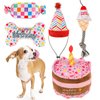 SCENEREAL Dog Birthday Squeaky Toy Set, 5 Pcs Stuffed Plush Pet Toys Birthday Gift for Dogs Boys and Girls Birthday Party, Cute Durable Interactive Puppy Teething Chew Toys for Small Medium Dogs