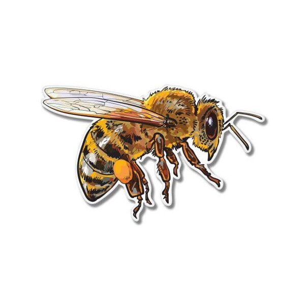 Honey Bee - 8" Vinyl Sticker - for Car Laptop I-Pad - Waterproof Decal