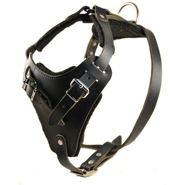Dean and Tyler The Boss Nickel Hardware Leather Dog Harness with Handle, Black, Medium - Fits Girth Size: 28-Inch to 37-Inch
