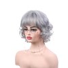 Deifor Old Lady Short Messy Curly Wig with Sunglasses & Glasses Chain and Necklace and Earrings and Barclet Sets for Women cosplay Daily Use Halloween Party(Silver White)