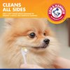 Arm & Hammer for Pets Clinical Care Travel Dental Kit for Dogs in Vanilla Ginger Flavor | Dog Toothbrush and Toothpaste Set Safe for All Dogs | All In One Solution To Dog Teeth Cleaning