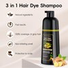 Hair Dye Shampoo 3 in 1, Natural Hair Dye Semi Permanent Hair Color, Gray Hair Cover Up, Ginger Essence shampoo for Color Treated Hair for Women and Men (500ml)
