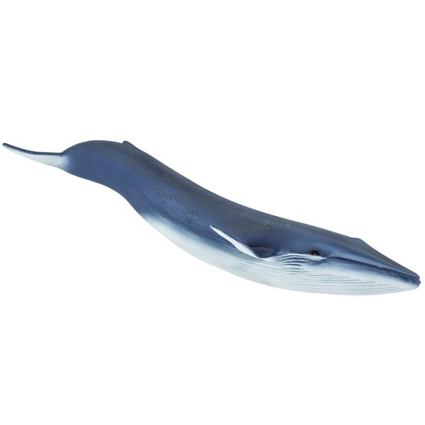 Safari Ltd. Blue Whale Figurine - Detailed 11" Plastic Model Figure - Fun Educational Play Toy for Boys, Girls & Kids Ages 3+