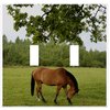 Horse in Pasture Wallplate Decorative Light Switch Plate Cover (2 Gang - Doub.
