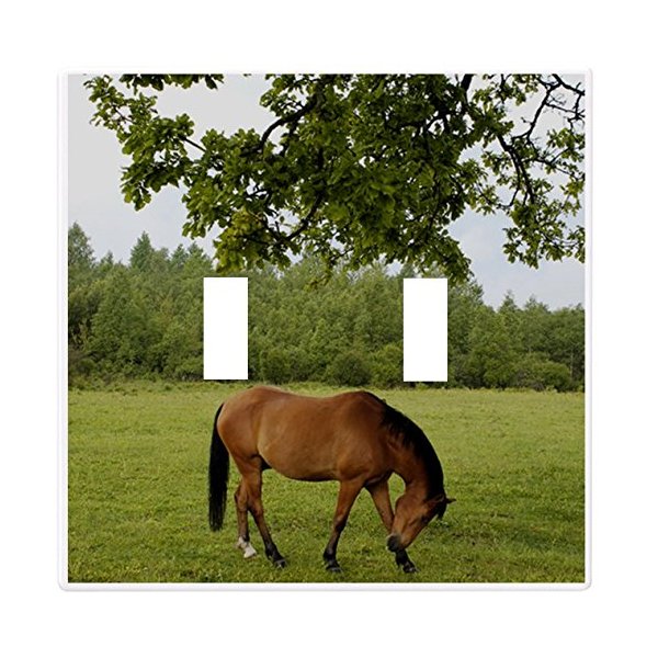 Horse in Pasture Wallplate Decorative Light Switch Plate Cover (2 Gang - Doub.