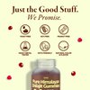 Pure Himalayan Shilajit Gummies 1500mg - 90 Vegan, Sugar-Free Gummies with 85+ Trace Minerals & Fulvic Acid, Non-GMO Shilajit Supplement for Men & Women