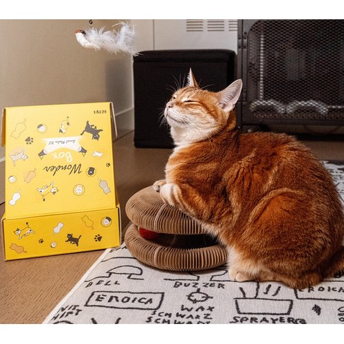 KOTYA Curated Cat Toys Box 5-in-1 Interactive Cat Toys Includes Cat Wand Toy with 3 Replacement Birds, Cat Fish Toy, Cat Ball Toy and Scratcher, for Cat Birthday, Thanksgiving, Christmas