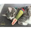 TOYGENICS - Doobie Catnip Toys for Indoor Cats w/Crinkly, Durable Material & Interactive String Ends for Cat Enrichment & Cat Teeth Cleaning, The Best-Kitten Toys-Cat Toys-Catnip Toy