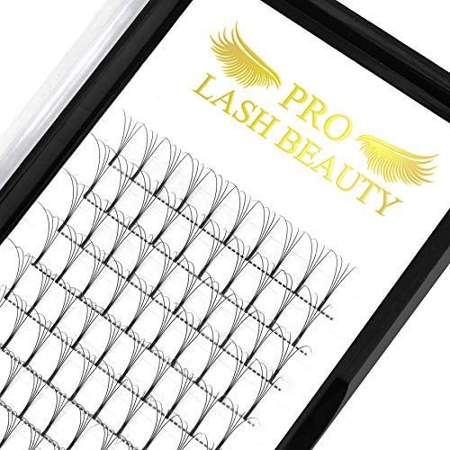 Premade Volume Eyelash Extensions 5D-D-0.10-13 Long Stem .07 .10 Premade Fans Eyelash Extensions Volume Lash Extensions C D Curl Premade Volume Fans (5D-D-0.10,13 mm)
