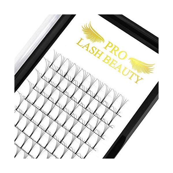 Premade Volume Eyelash Extensions 5D-D-0.10-13 Long Stem .07 .10 Premade Fans Eyelash Extensions Volume Lash Extensions C D Curl Premade Volume Fans (5D-D-0.10,13 mm)