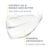 Beekman 1802 Glacial Mint & Eucalyptus Whipped Body Cream - 8 oz - Scented - Moisturizes, Soothes & Softens - With Coconut Oil & Mango Seed Butter - No Irritation - Good for Sensitive Skin