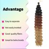 Deep Wave Curly Braiding Hair Synthetic 22 Inch Ocean Wave Crochet Hair for Black Women Deep Wave Wet and Wavy Curly Braiding Hair Extensions (22 Inch, 1B/30/27)