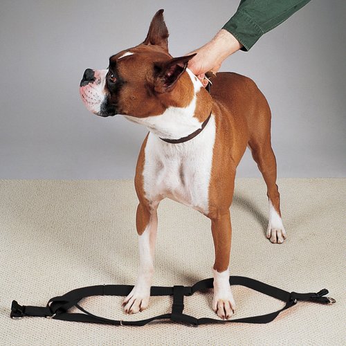 Guardian Gear Nylon 2-Step Dog Harness with Nickel-Plated Swivel Clip, Fits Chests 15" to 25", Black