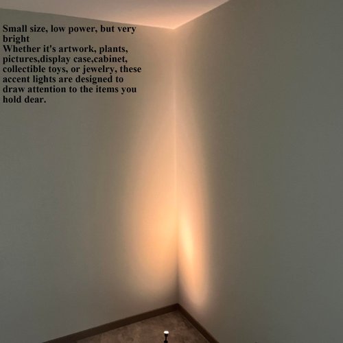 Taysing LED Spot Lights Indoor Picture Lights Art Lights Accent Lights Little Spotlight Up Lights for Painting Picture Plants Jewelry Showcase Model Display Shelves Cabinet (Soft White-2 Pack)