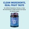 GOOD GOOD No Added Sugar Blueberry Jam - Keto Friendly Jelly - Low Carb, Low-Calorie and Vegan - Diabetic Friendly - 12oz / 330g (Pack of 1)