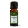 Plant Therapy Christmas Tree Holiday Essential Oil Blend 100% Pure, Undiluted, Natural, Therapeutic Grade 10 mL (1/3 oz)