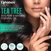 UpNature Tea Tree Oil Roll On - 100% Pure Tea Tree Essential Oil for Skin - Premium Quality Aromatherapy Oil