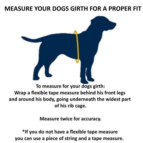 WORKINGSERVICEDOG.COM Premium ESA Emotional Support Dog Vest - Reflective - Zipper Pocket - ID Holder - Includes 5 Federal Law ESA Handout Cards (29-35" Girth, Blue)