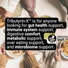 Healthy Gut Tributyrin-X | Most Bioavailable Butyrate Postbiotic for Gut Health & Leaky Gut Support | 99% Pure w/Zero Odor | 30 Softgels