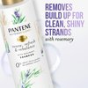 Pantene Sulfate Free Shampoo, Detangling Shampoo with Rosemary, Color Safe, 9.6 oz