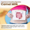 Camel Milk Capsules | Herbal Supplement | Pure Camel Milk Powder 908.05mg, Calcium Carbonate, Vitamin C, Vitamin B1, Vitamin B2 | 60 Capsules