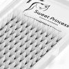 12rows,120pcs 10D Premade Volume Fans Eye Lashes Extensions Thickness 0.07mm D Curl Black Soft Individual False Eyelashes Makeup Fake Lashes Cluster 8-18mm to Choose (13MM)