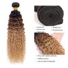 20 22 24 Inch Ombre Bundles Human Hair T1B/4/27 Kinky Curly Bundles 3 Tone Brown and Honey Blonde Bundles Brazilian Grade 8A Virgin Human Hair Extensions Ombre Brown Kinky Curly Bundles